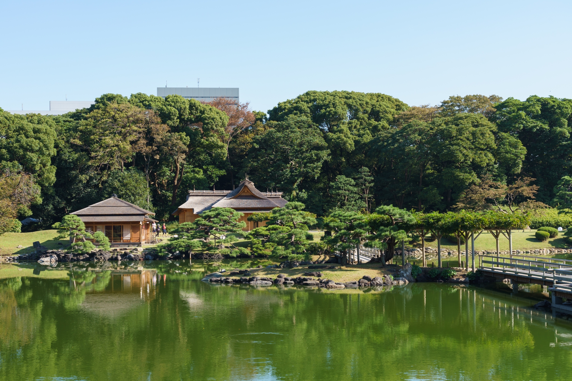 Hamarikyu Hama Rikyu Gardens 浜離宮