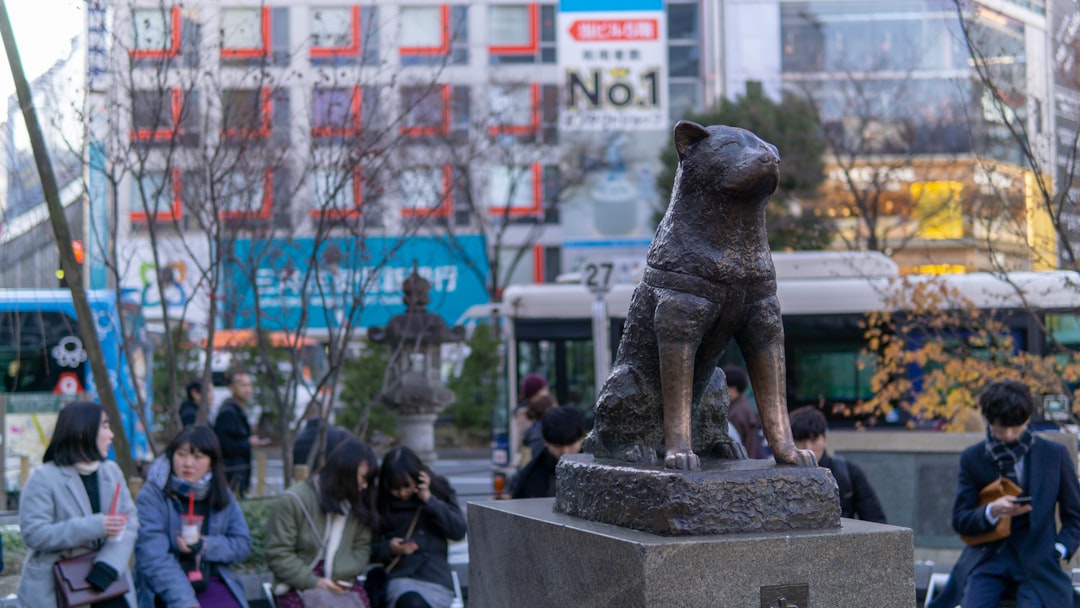 Understanding Shibuya: More Than Just a Crosswalk