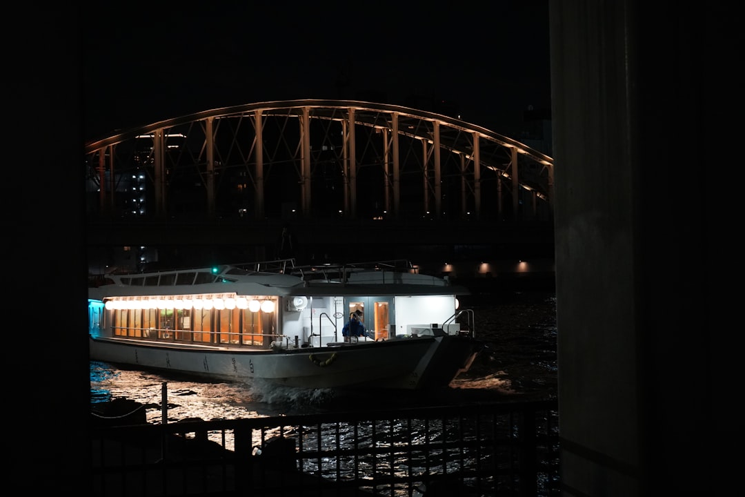 Why the Sumida River Cruise Is a Photographer's Ideal Sakura Setting