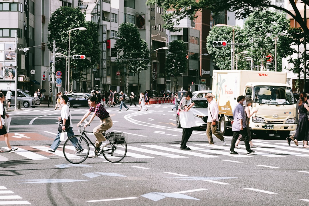 What Is an Asakusa Rickshaw Tour?