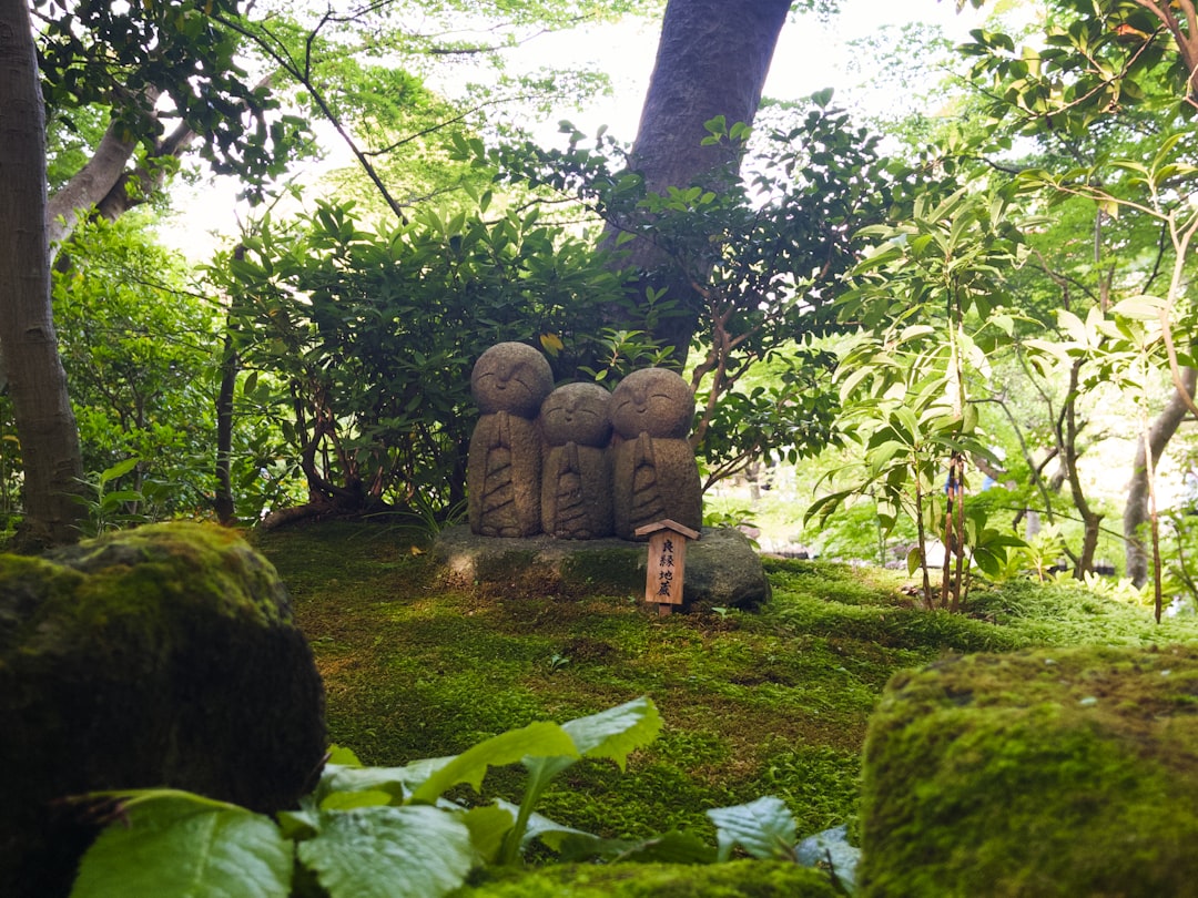 Must-See Attractions in Kamakura