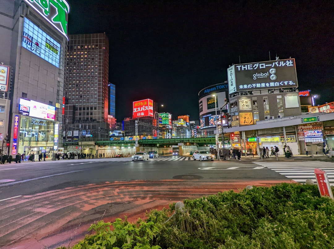 Practical Tips for the Anime Fan Trip to Odaiba