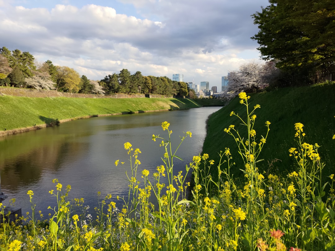 The Route: What You'll See and When to Shoot It