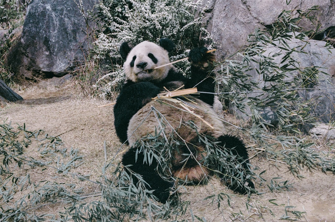 The National Museum of Nature and Science: This One's for the Kids