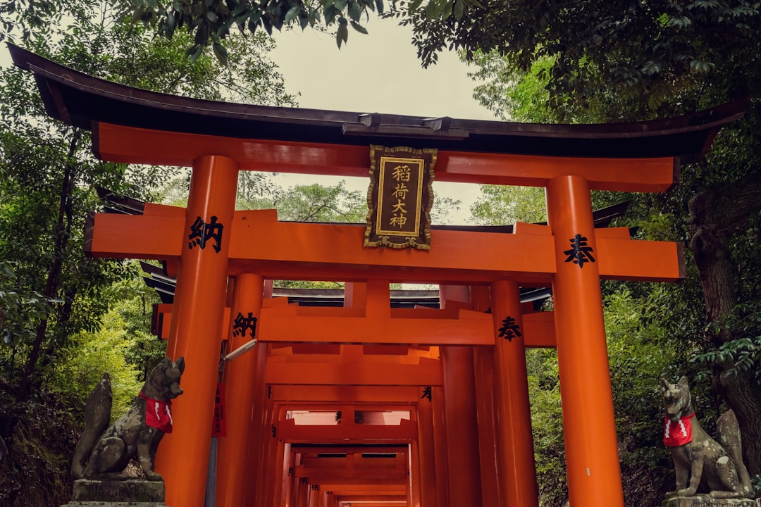 Practical Tips for Visiting Meiji Shrine and Omotesando