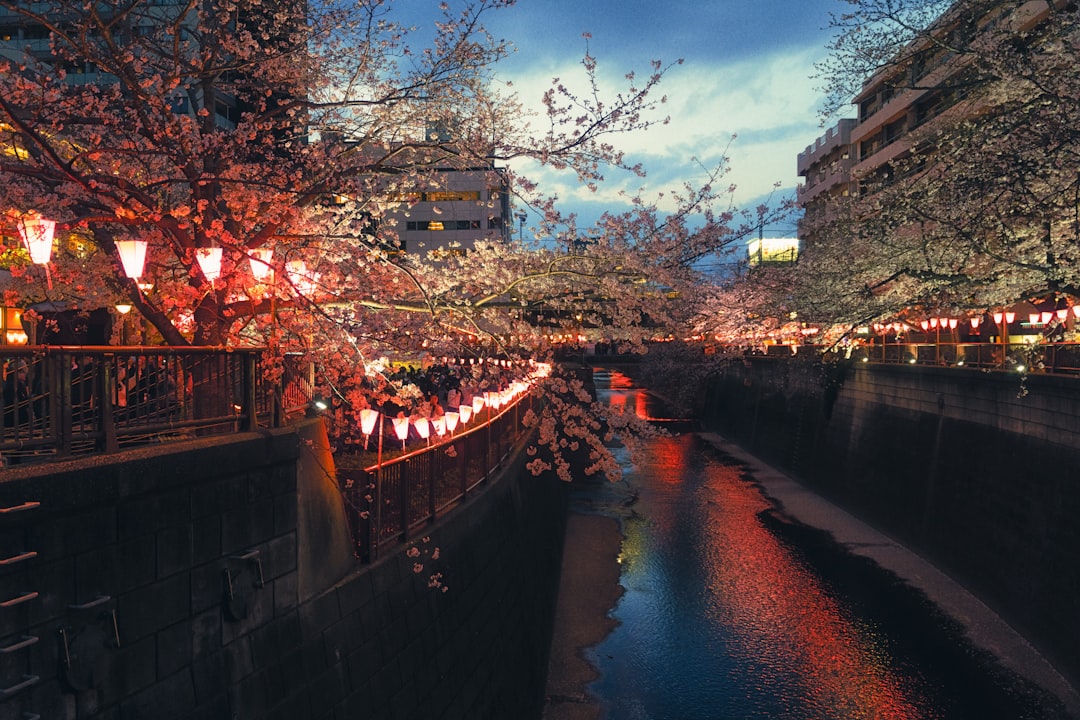 Practical Tips for Photography Enthusiasts