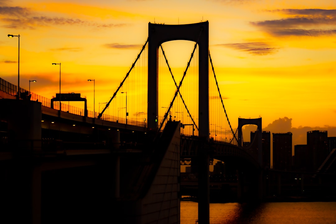 Best Time to Visit for a Tokyo Bay Sunset Cruise