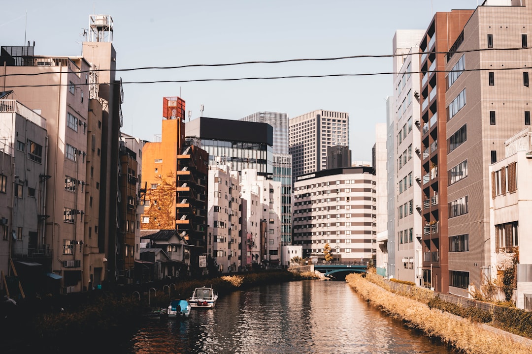 Local Culture and Surrounding Neighborhoods