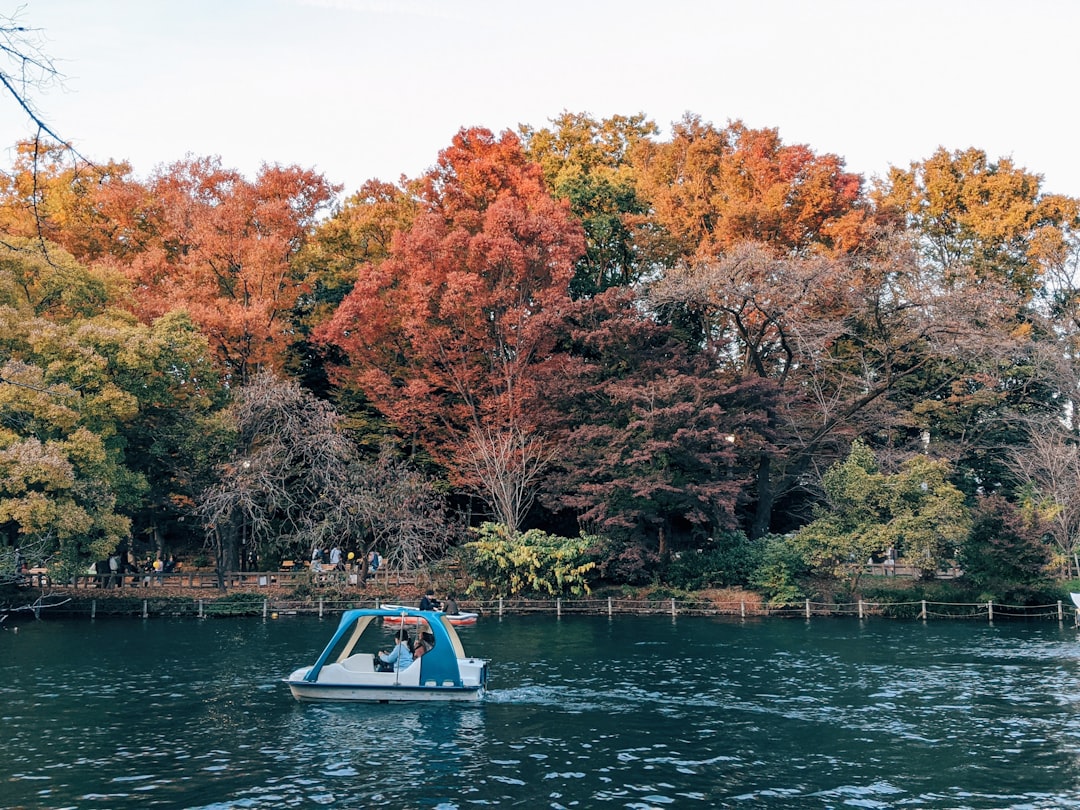 Exploring Inokashira Park: The Perfect Complement