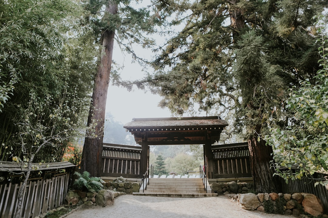 Best Time to Visit Hakone as a Solo Traveler