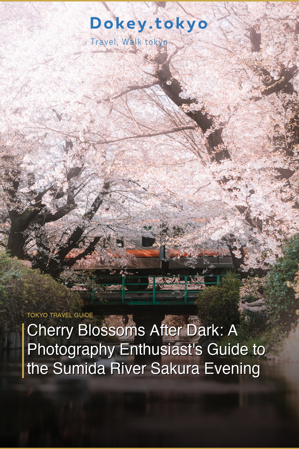 Cherry Blossoms After Dark: A Photography Enthusiast’s Guide to the Sumida River Sakura Evening Cruise