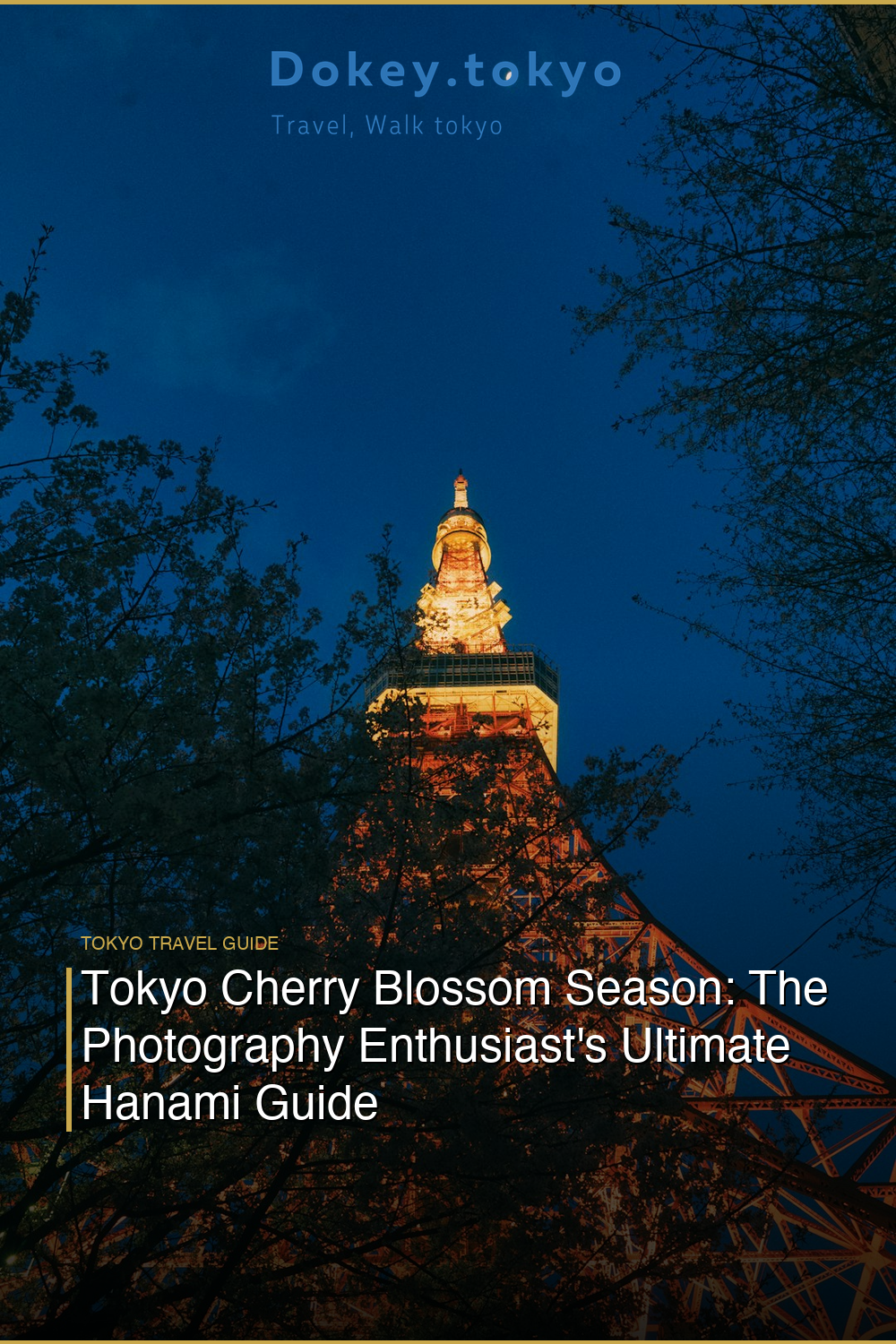 Tokyo Cherry Blossom Season: The Photography Enthusiast’s Ultimate Hanami Guide
