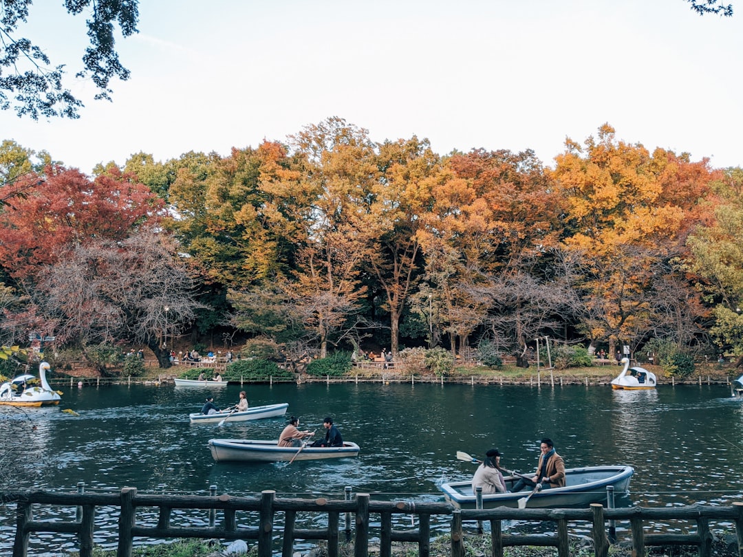 Why Inokashira Park Is Made for Couples