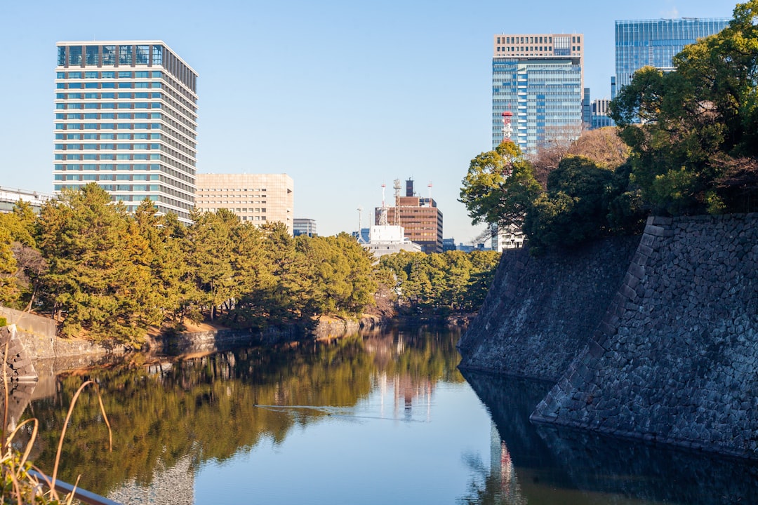 Why Odawara Castle Is a Photographer's Dream Destination