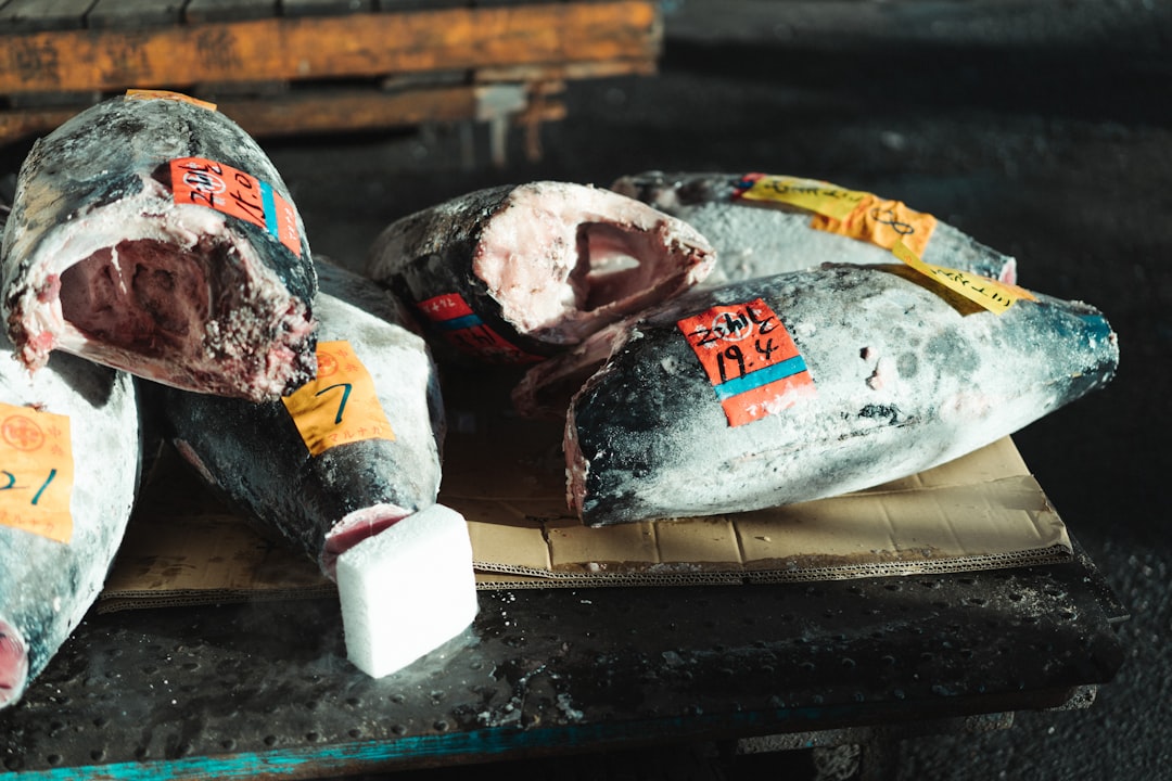 How to Plan Your Tsukiji Morning: Timing Is Everything