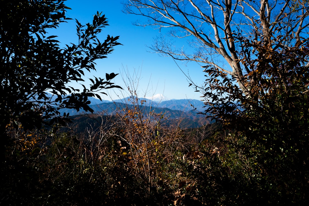 Why Okutama Is a Photographer's Dream Destination