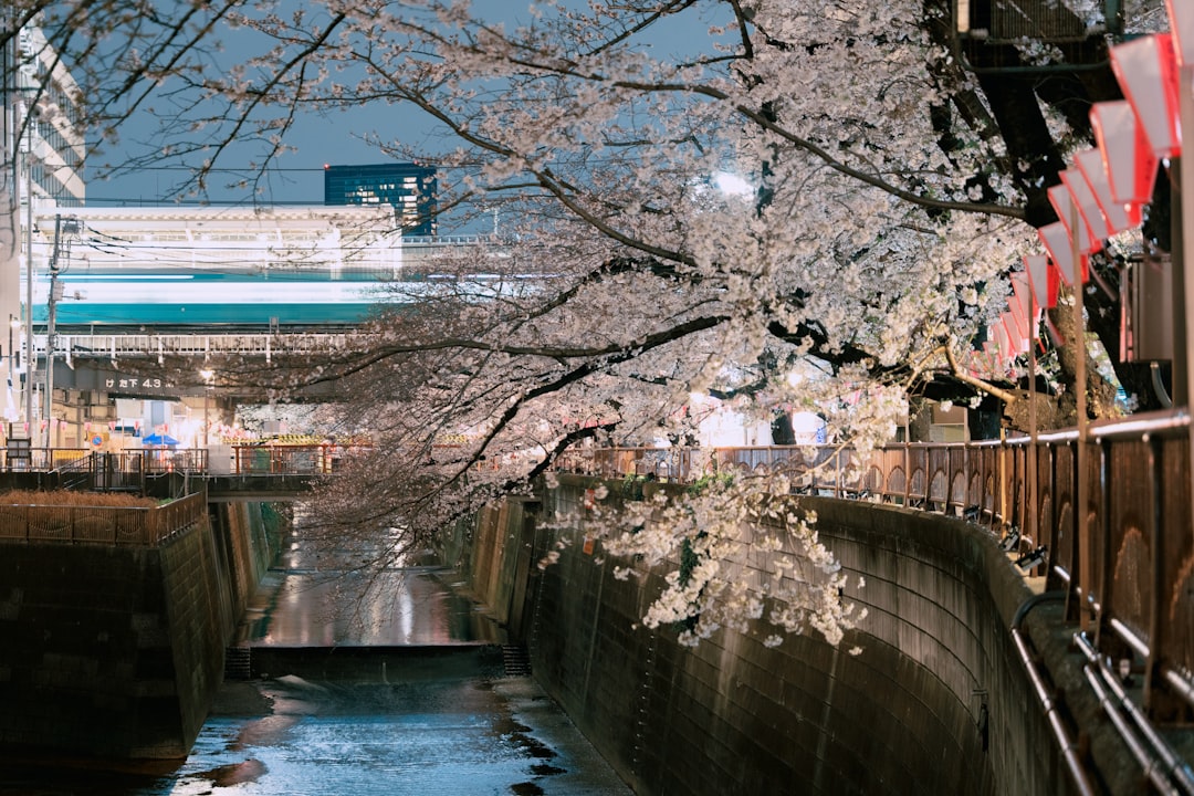 Seasonal Strategy for Photographers