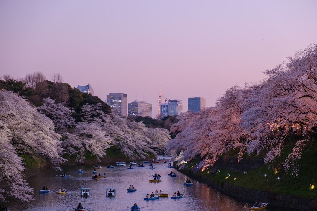 Why Photographers Need a Different Hanami Strategy