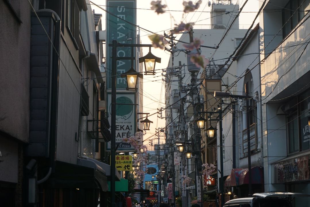The Vintage and Local Shops Worth Your Time (and Lens)