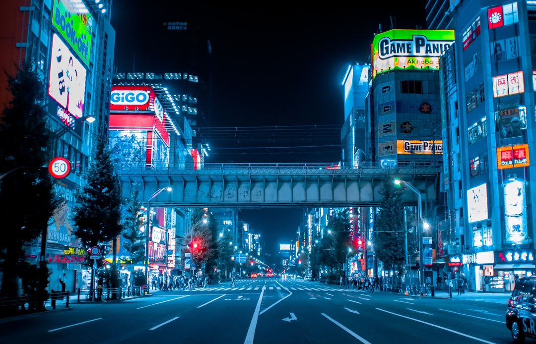 The Essential Stops for Anime & Gaming First-Timers
