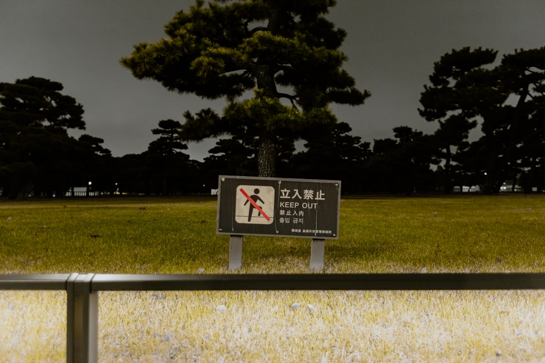 Cross the Park to the Tokyo National Museum