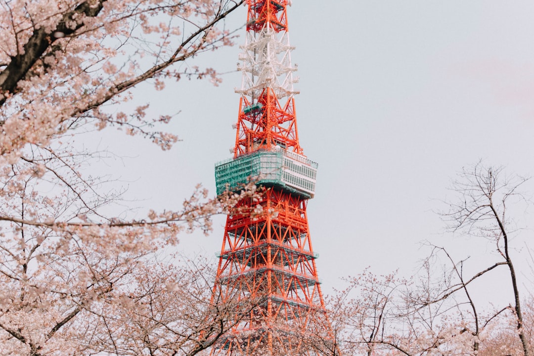 The Best Hidden Cherry Blossom Picnic Spots for Photographers