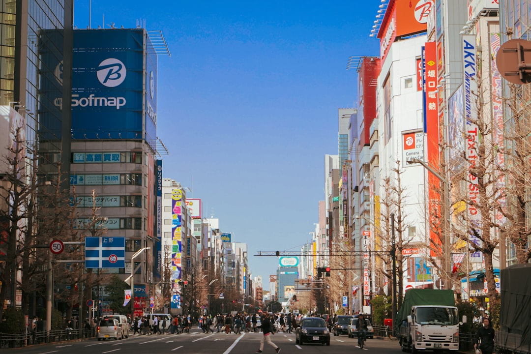 Navigating the Tech Side of Akihabara