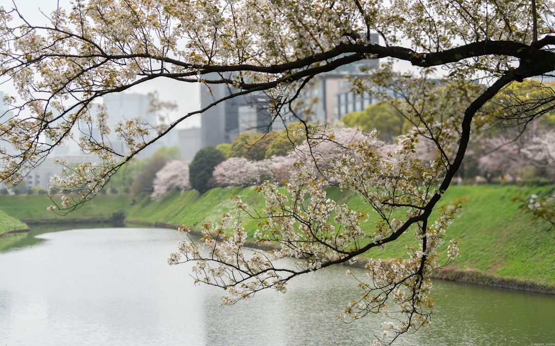 Practical Tips for the Photographer-Picnicker