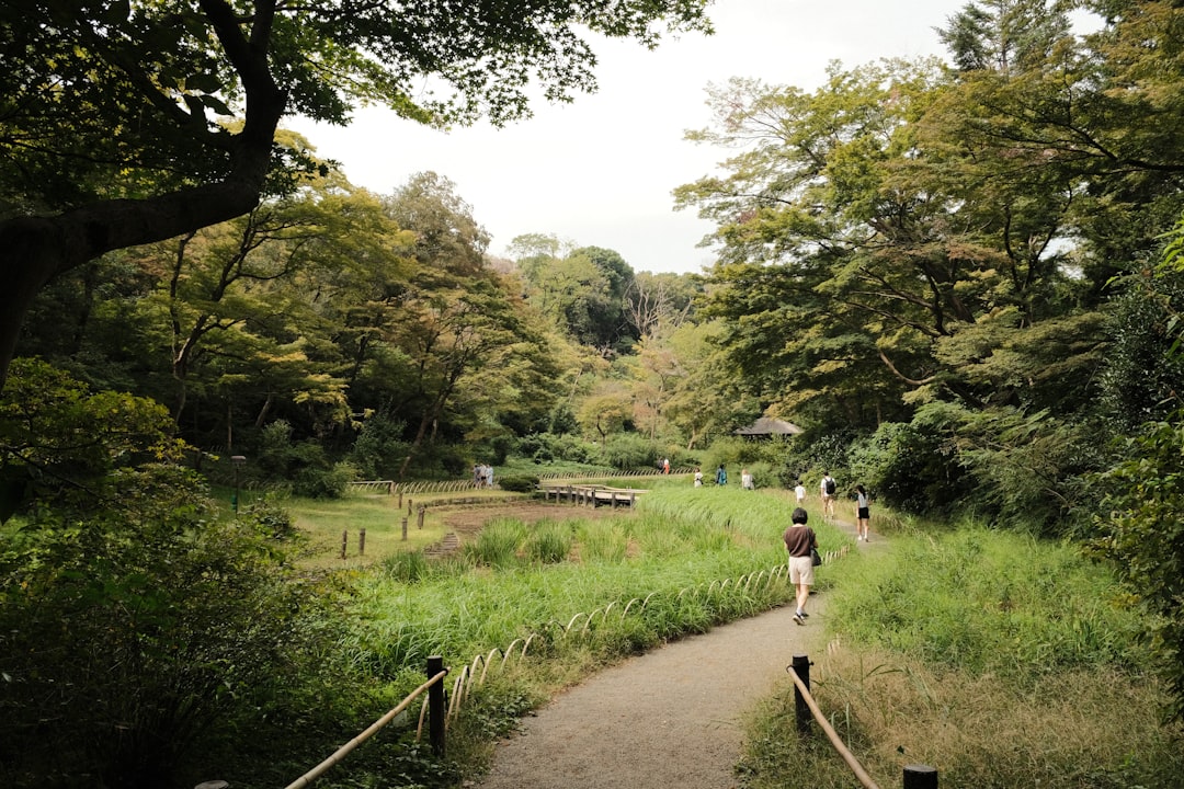 Best Time to Visit Okutama for Photography