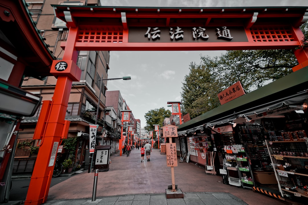 Practical Photography Tips for This Walk