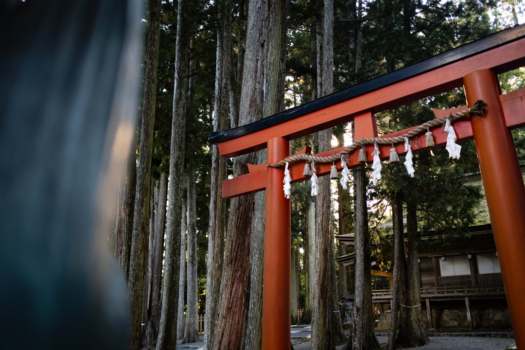 Practical Guide for Photography Travelers