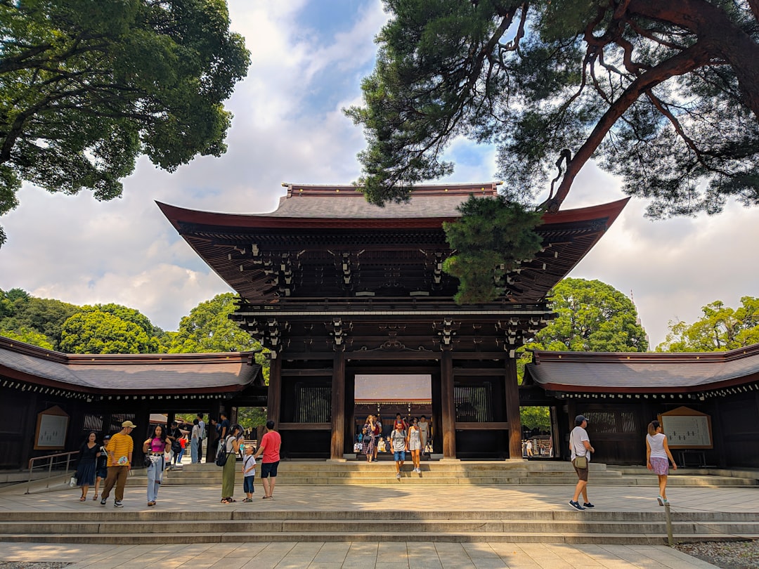 Practical Tips for First-Time Visitors