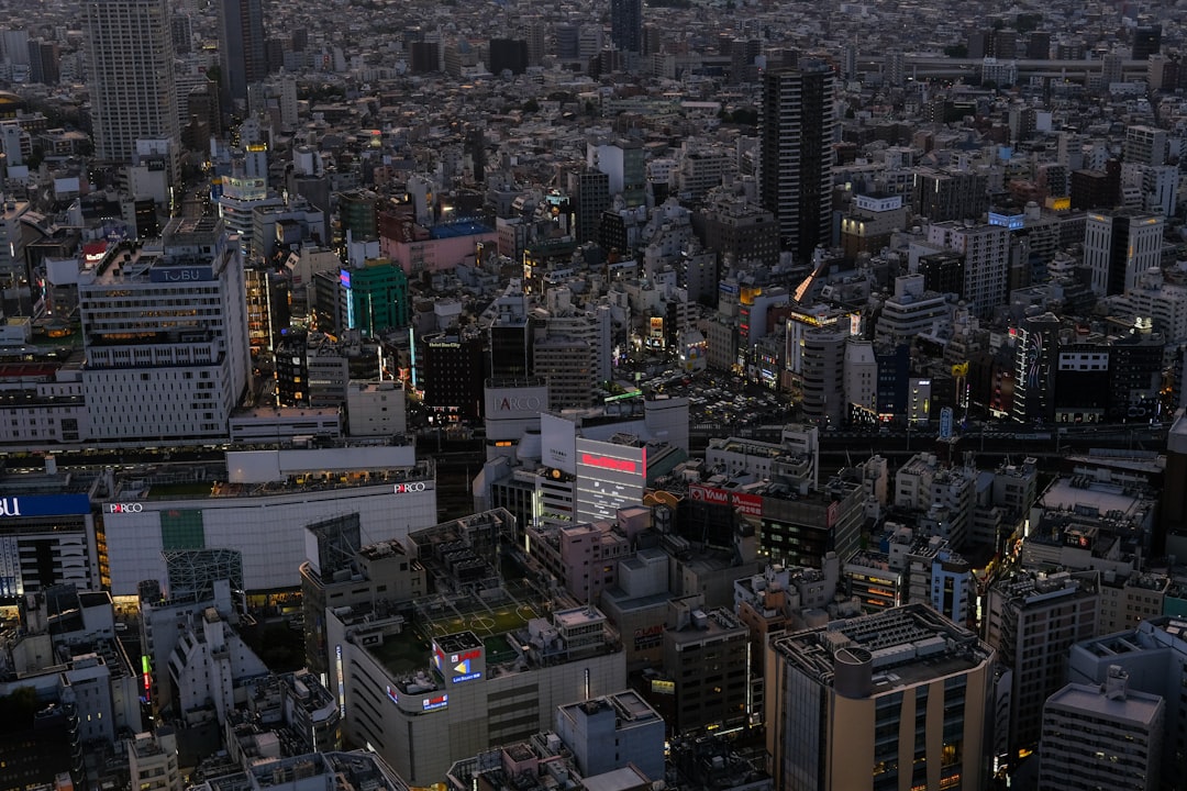 Practical Tips for Your First Ikebukuro Shopping Day