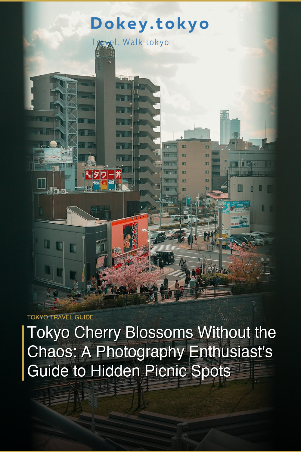 Tokyo Cherry Blossoms Without the Chaos: A Photography Enthusiast’s Guide to Hidden Picnic Spots