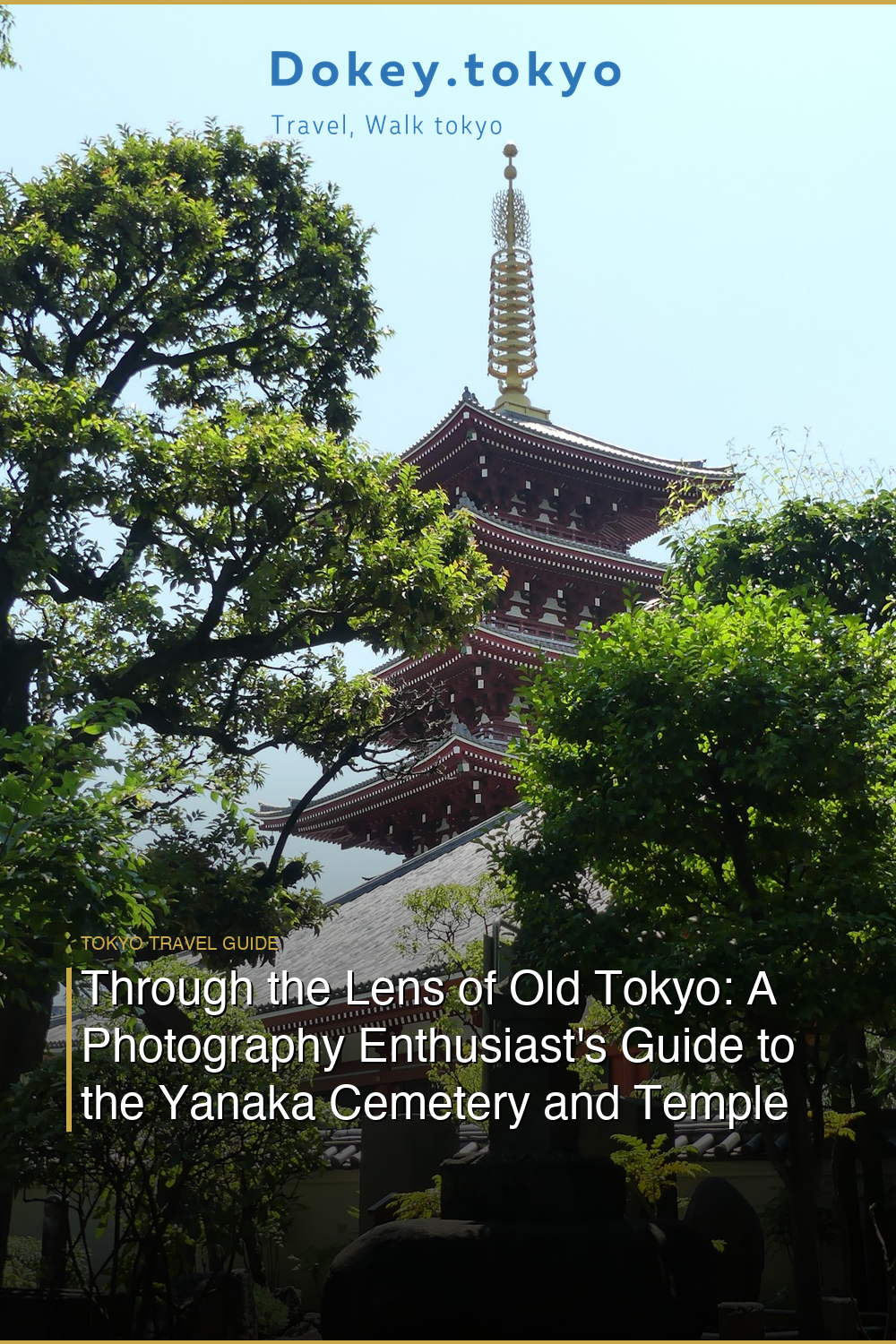 Through the Lens of Old Tokyo: A Photography Enthusiast’s Guide to the Yanaka Cemetery and Temple Walking Tour