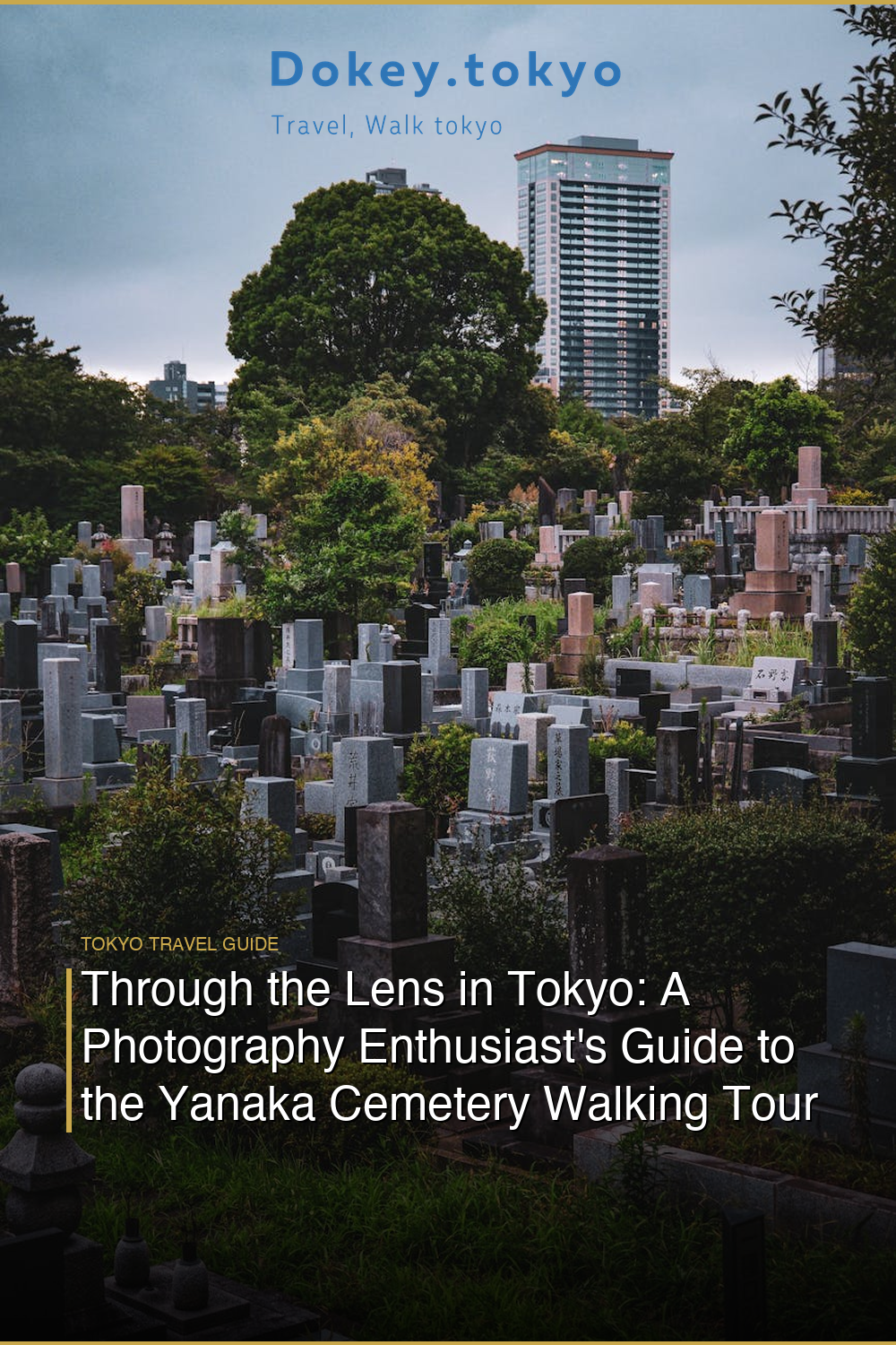 Through the Lens in Tokyo: A Photography Enthusiast’s Guide to the Yanaka Cemetery Walking Tour and Nearby Temples