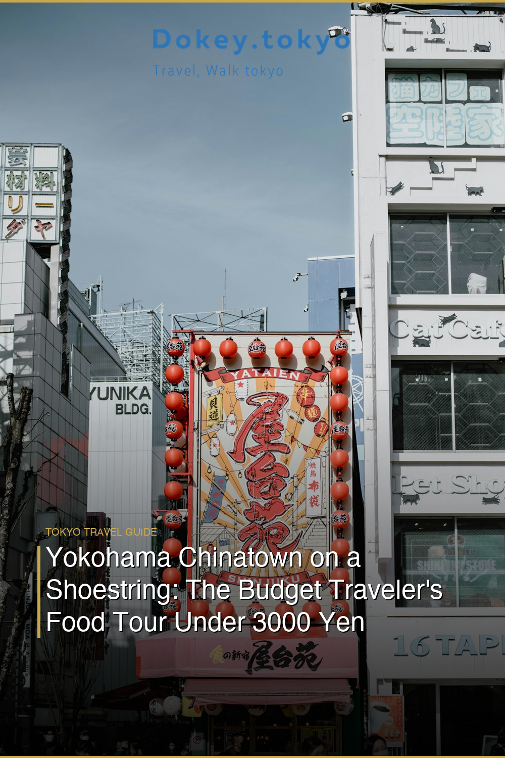 Yokohama Chinatown on a Shoestring: The Budget Traveler’s Food Tour Under 3000 Yen
