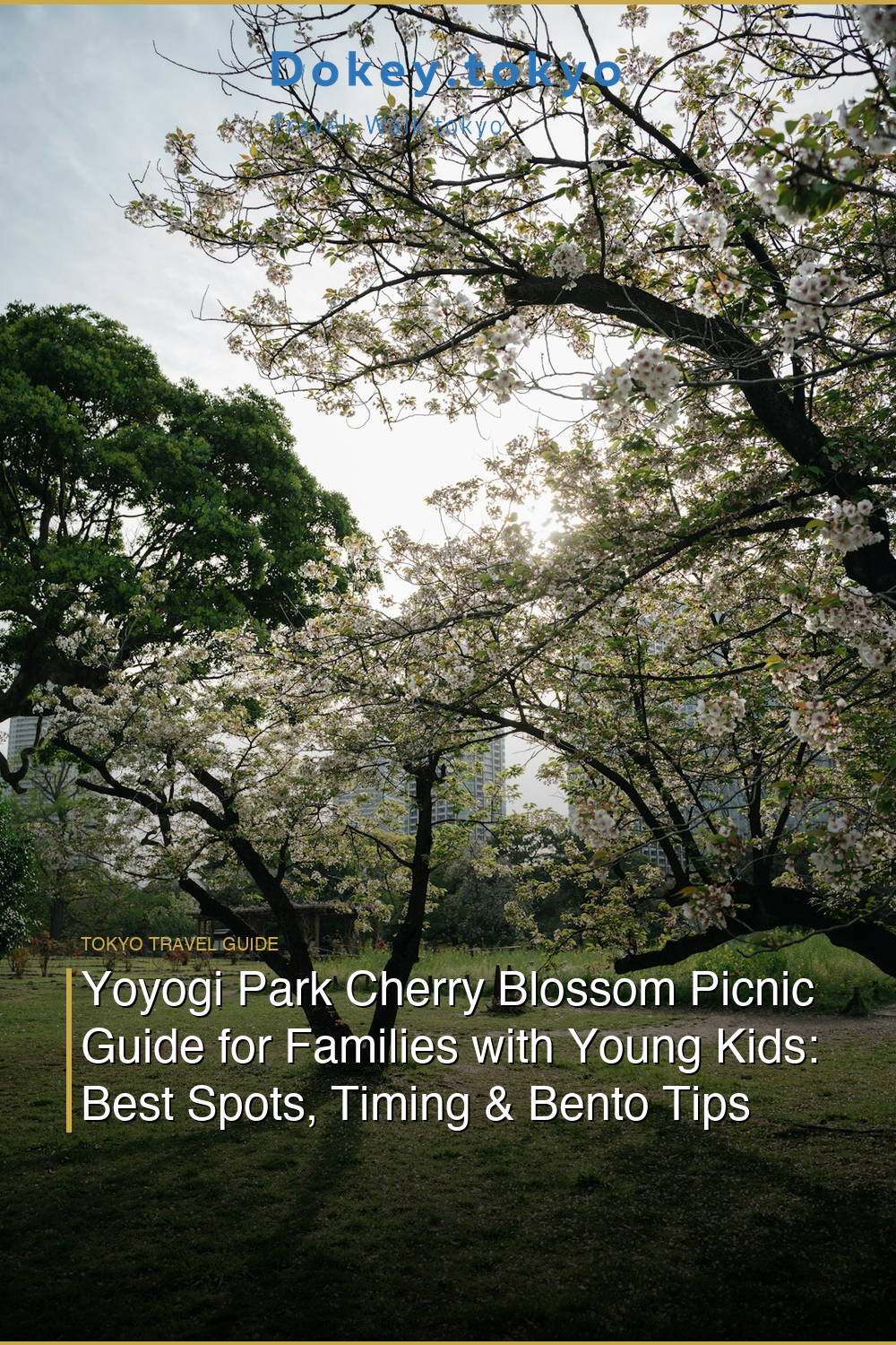 Yoyogi Park Cherry Blossom Picnic Guide for Families with Young Kids: Best Spots, Timing & Bento Tips