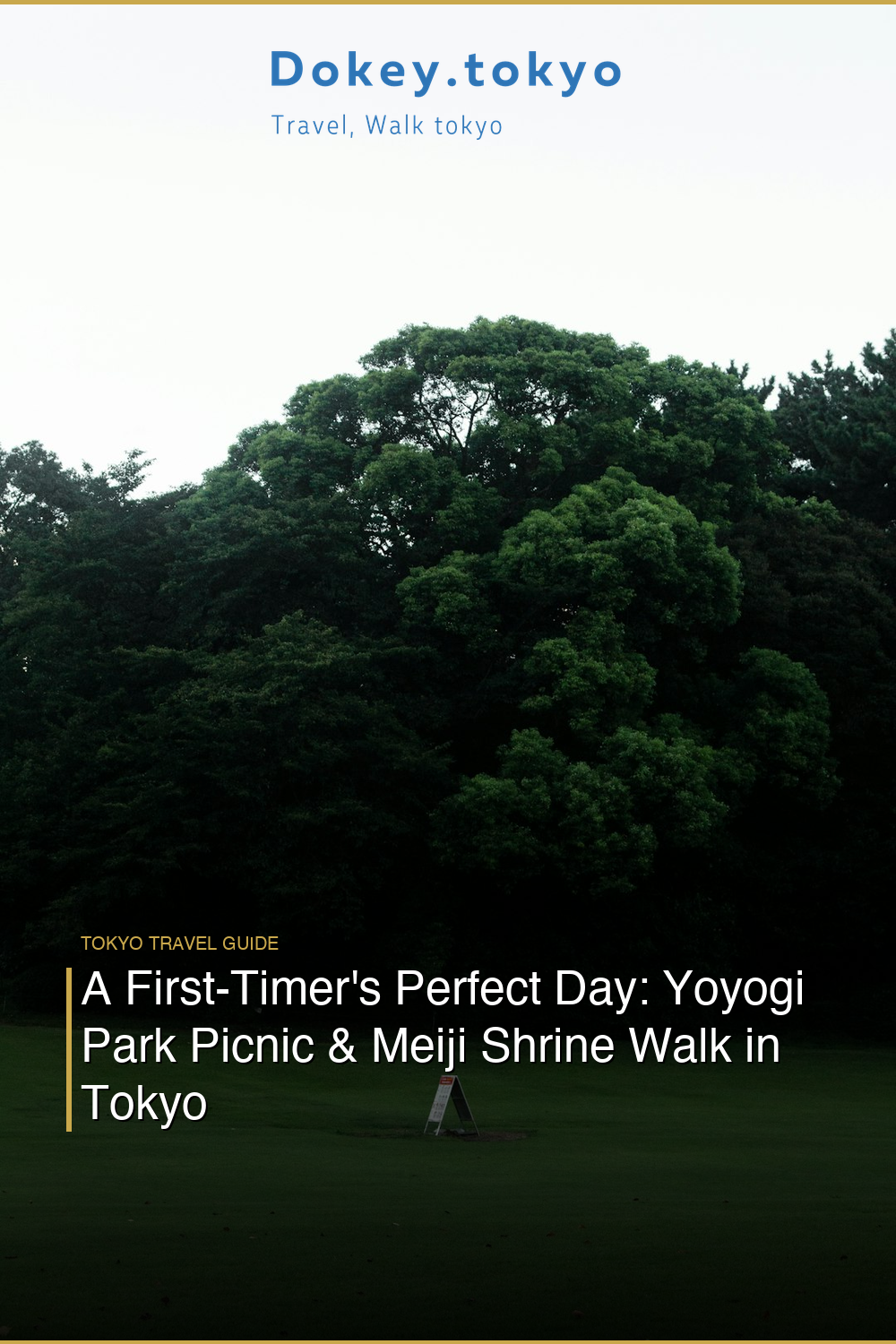 A First-Timer’s Perfect Day: Yoyogi Park Picnic & Meiji Shrine Walk in Tokyo