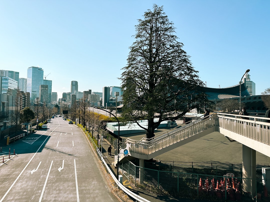Why This Walk Works Perfectly for First-Timers