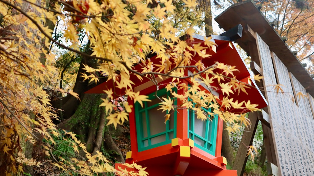 Why Mitaka Ghibli Museum Tickets Are the Hardest Part of Your Trip