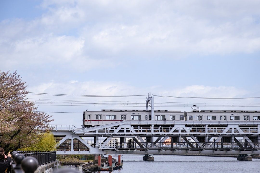 Eating in Nikko: Fuel Between Frames