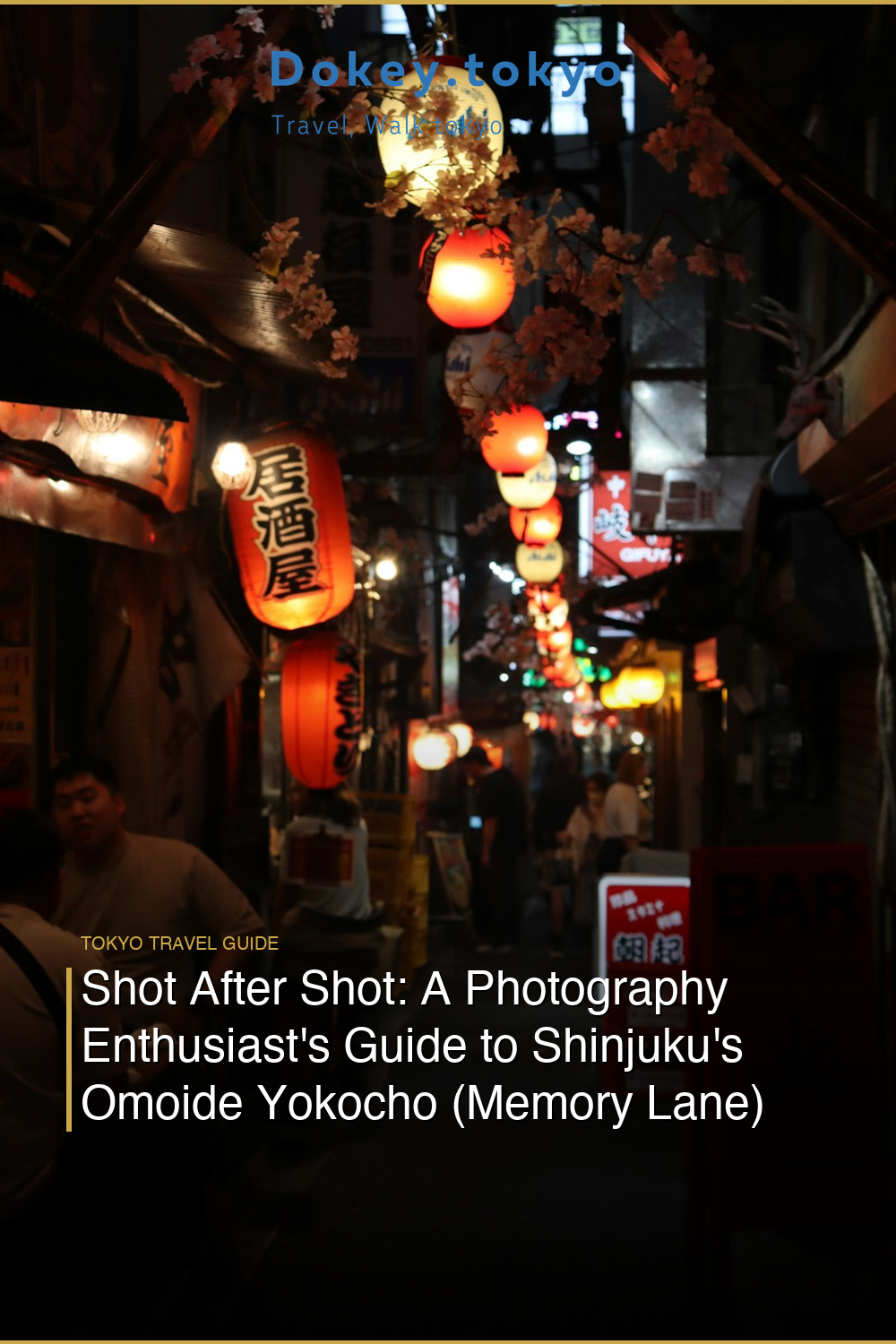 Shot After Shot: A Photography Enthusiast’s Guide to Shinjuku’s Omoide Yokocho (Memory Lane)