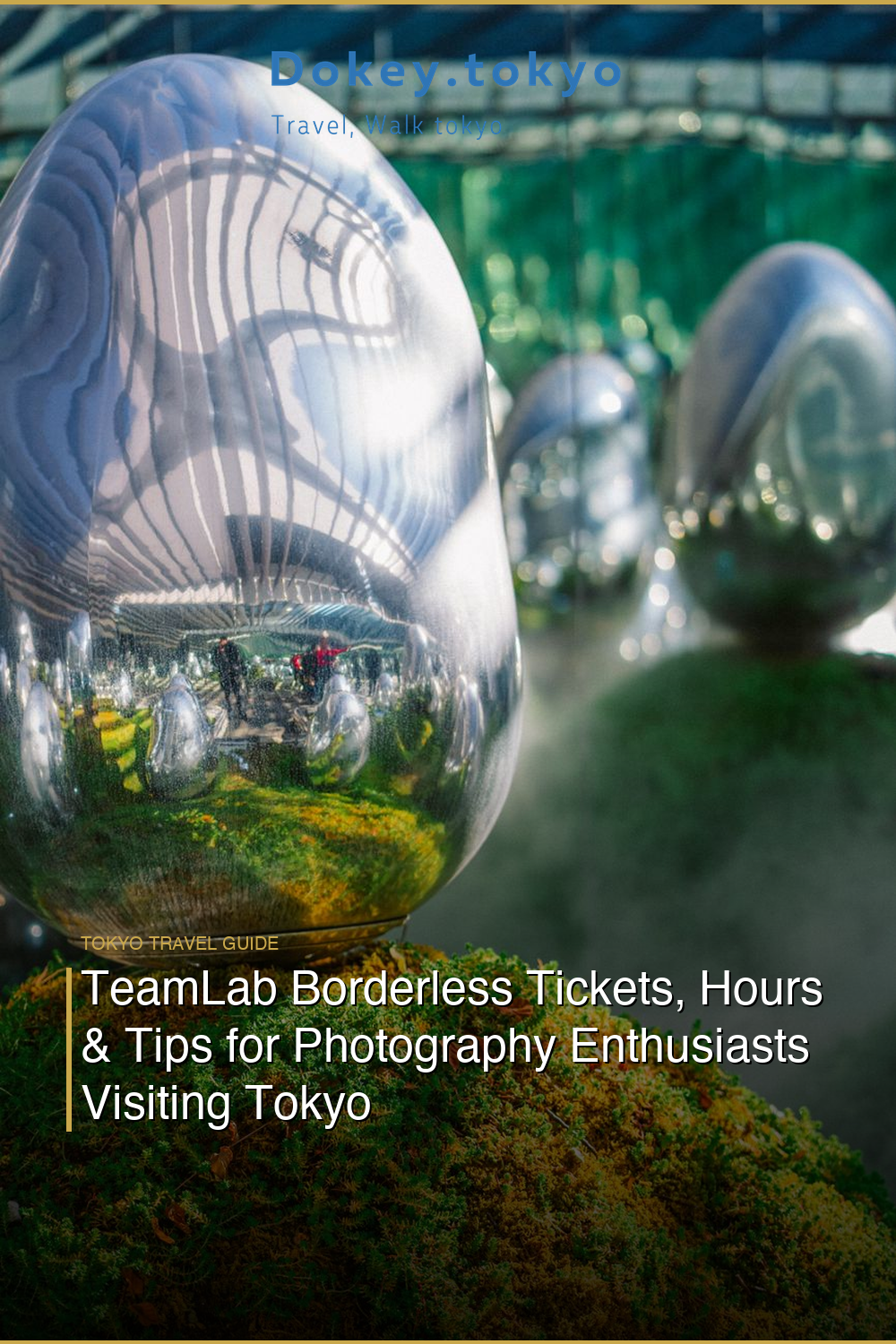 TeamLab Borderless Tickets, Hours & Tips for Photography Enthusiasts Visiting Tokyo