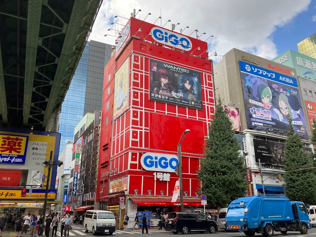Before You Walk In: Understanding the Layout of Akihabara