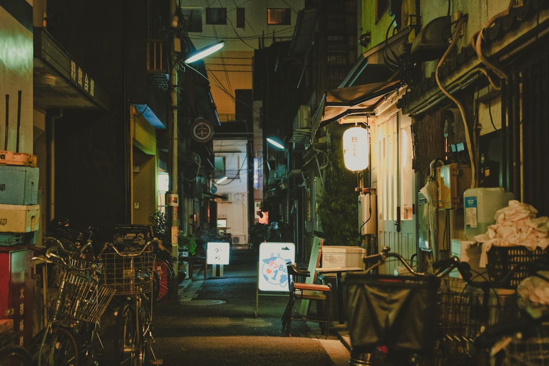 Practical Photography Tips for Yanaka Ginza