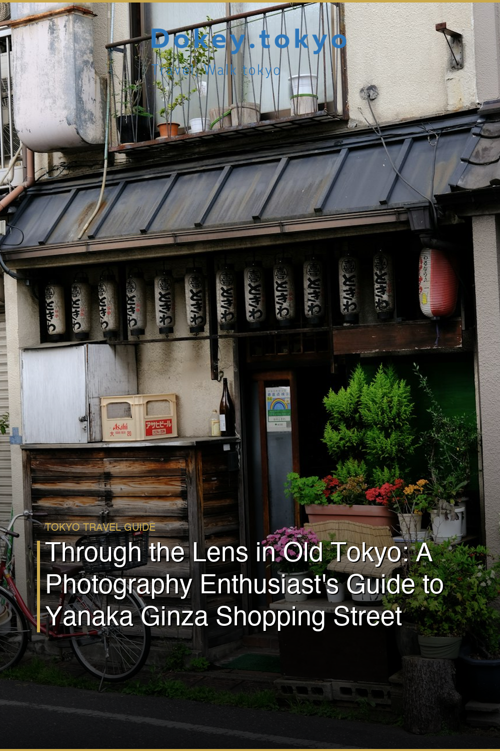 Through the Lens in Old Tokyo: A Photography Enthusiast’s Guide to Yanaka Ginza Shopping Street