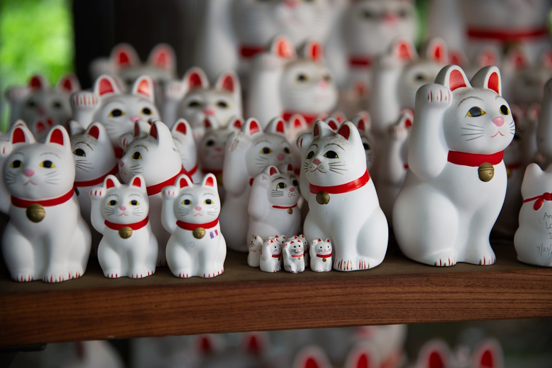 Why Gotokuji Temple Is a Photographer's Dream